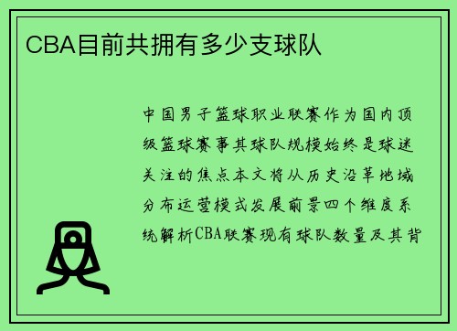 CBA目前共拥有多少支球队