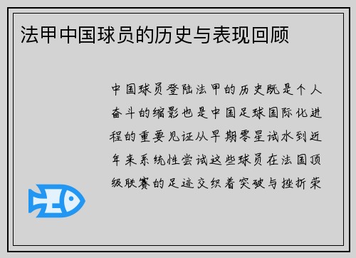 法甲中国球员的历史与表现回顾