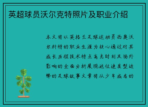 英超球员沃尔克特照片及职业介绍